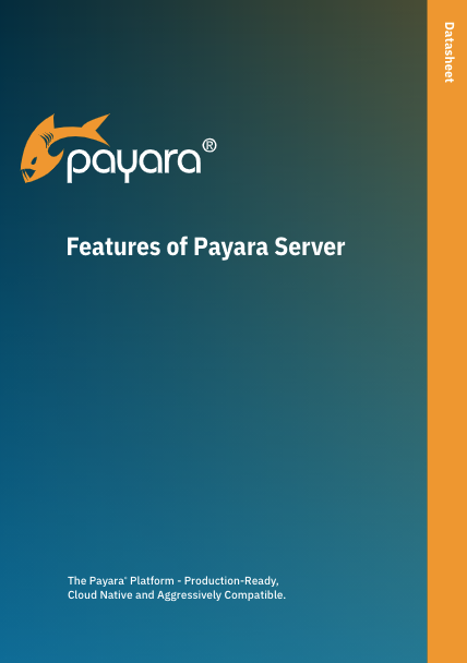 Features of Payara Server