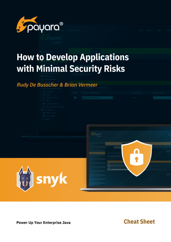 How to Develop Applications with Minimal Security Risks Cover