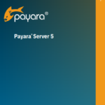 Payara Server 5 Datasheet (Japanese)