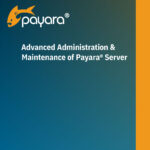 Advanced Administration and Maintenance of Payara Server Guide