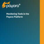 Monitoring Tools in the Payara Platform