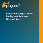 How to Run a Payara Server Deployment Group on Microsoft Azure