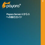 Payara Server 4 to 5 Migration Guide (Japanese)