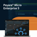 Payara Micro 5 Datasheet Japanese