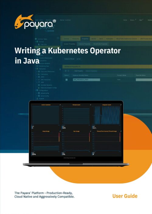 Writing a Kubernetes Operator in Java