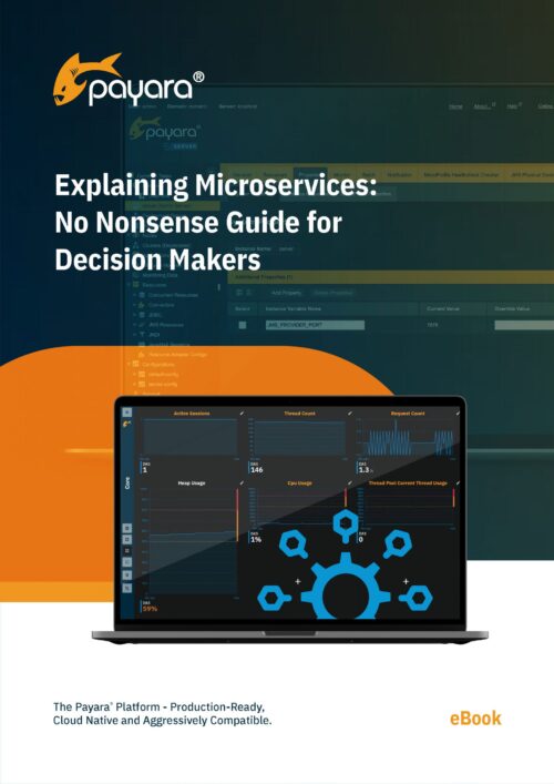 Explaining Microservices: No Nonsense Guide for Decision Makers