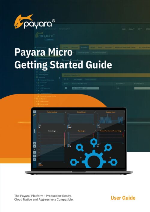 Payara Micro Getting Started Guide
