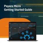 Payara Micro Getting Started Guide Cover