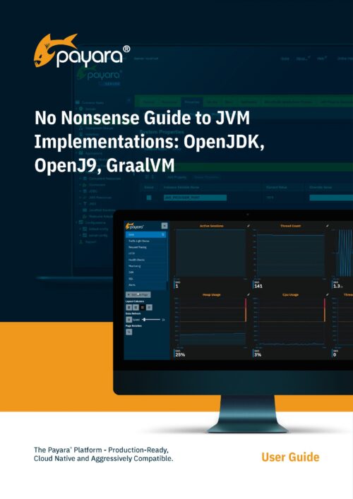 No Nonsense Guide to JVM Implementations: OpenJDK, OpenJ9, GraalVM