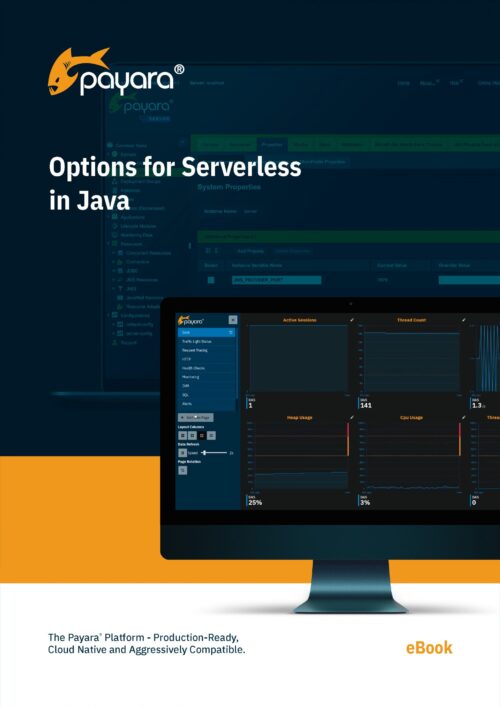 Options for Serverless