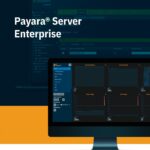 Payara Server Datasheet Image