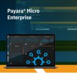 Payara Micro Enterprise Datasheet_Page_1