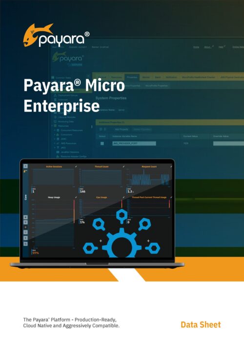 Payara Micro Enterprise Datasheet_Page_1