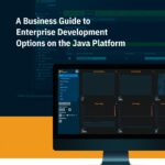 A Business Guide to Enterprise Development Options