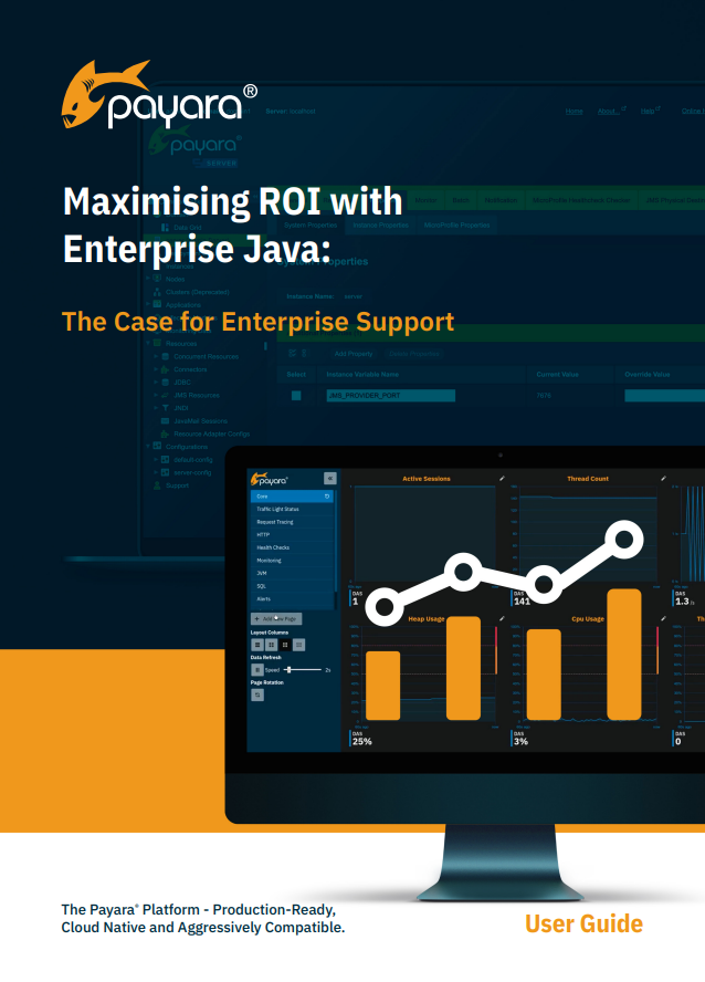 Maximizing ROI with Enterprise Java: The Case For Enterprise Support