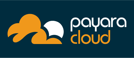 Payara Cloud Logo