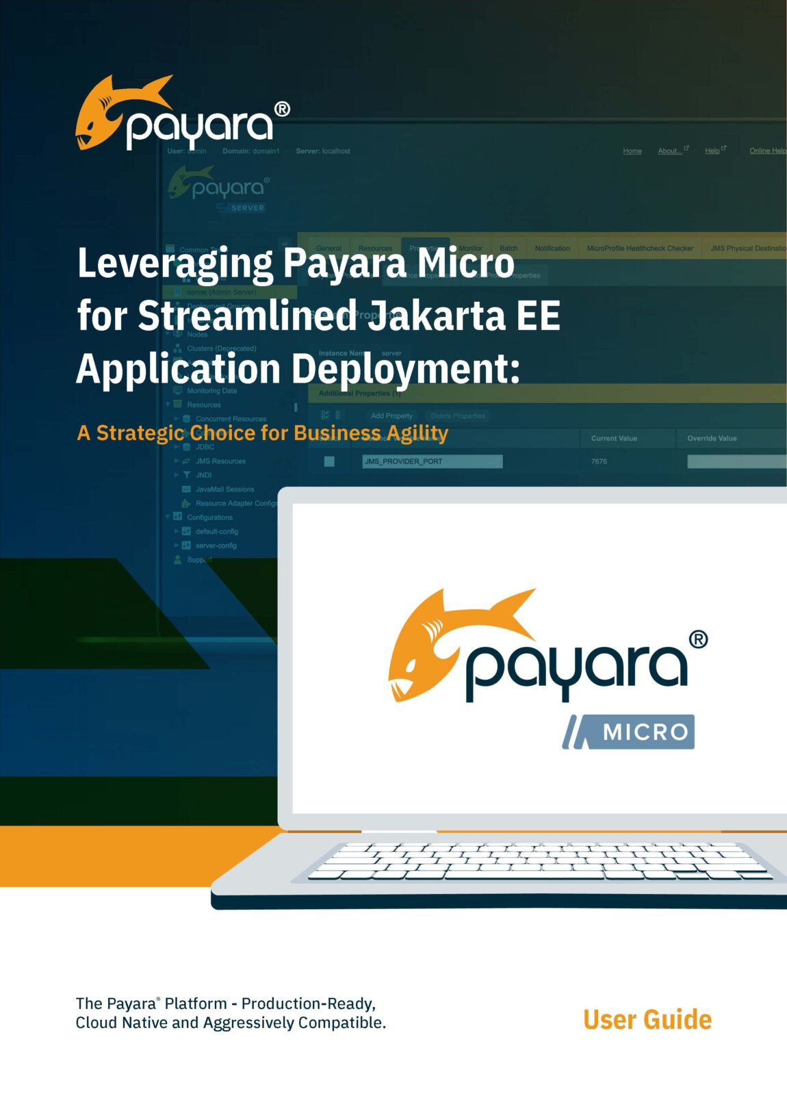 Leveraging Payara Micro for Streamlined Jakarta EE Application Deployment