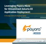 Leveraging Payara Micro for Streamlined Jakarta EE Application Deployment