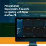 Payara Server Deployment: A Guide to Integrating with Nginx And Traefik