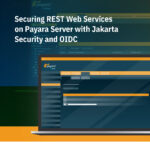 Securing REST Web Services on Payara Server cover page