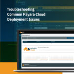 Troubleshooting Common Payara Cloud Deployment Issues