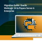 Migration Guide: Oracle WebLogic 14 to Payara Server 6 Enterprise