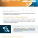 Future-Proofing Cybersecurity: Payara’s Response to the EU Cyber Resilience Act