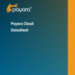 Payara Cloud Datasheet