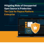 Mitigating Risks of Unsupported Open Source in Production - The Case for Payara Enterprise Platform