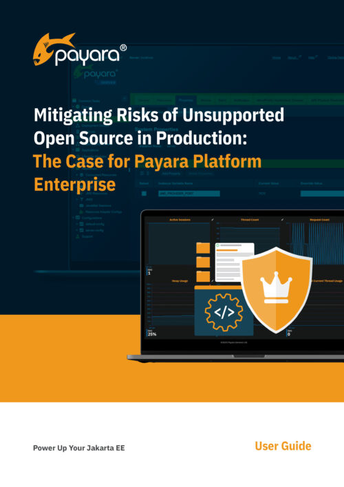 Mitigating Risks of Unsupported Open Source in Production - The Case for Payara Enterprise Platform