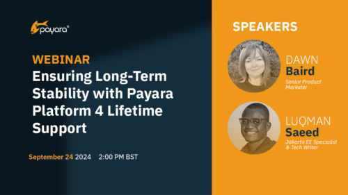 Ensuring Long-Term Stability with Payara Platform 4 Lifetime Support