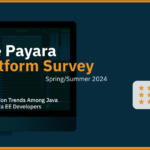 The Payara Platform Survey Report 2024