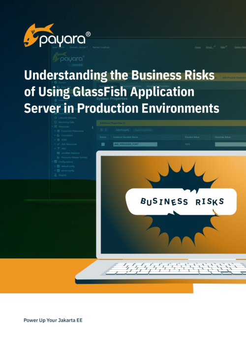 Understanding the Security Risks of Using GlassFish