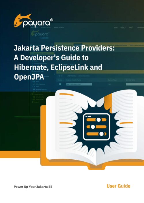 Jakarta Persistence Providers Guide