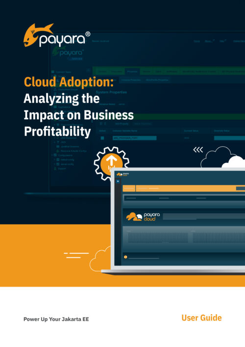 Cloud Adoption_ Analyzing the Impact on Business Profitability Guide