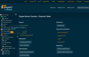 Interactive Guide - Navigating the Payara Server Enterprise Admin Console