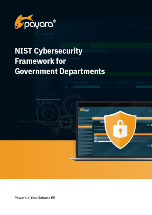 NIST Cybersecurity Framework for Government Departments