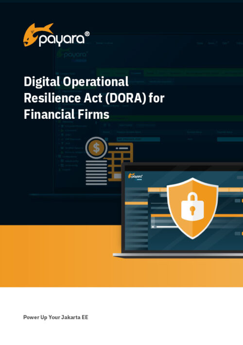 Digital Operational Resilience Act (DORA) for Financial Firms