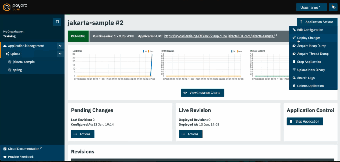 Payara Qube interface or workflow diagram