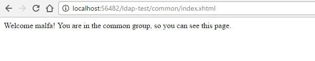 5-ldap-web-test-4.jpg