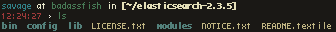 6_-_elasticsearchdir.png