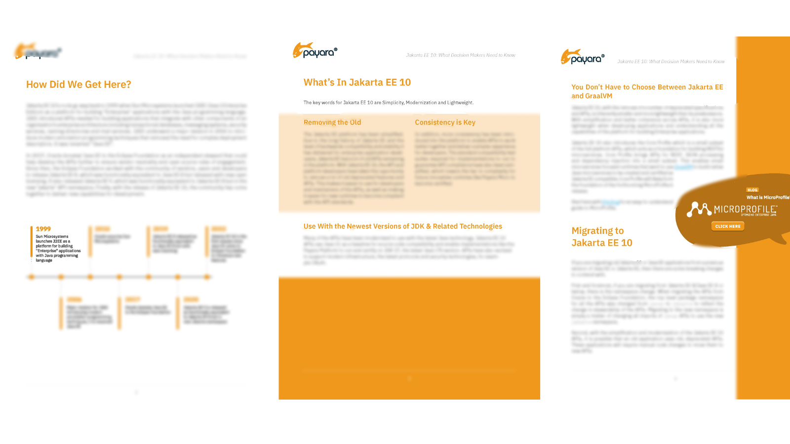 Canva Design DAFLcS--nGU