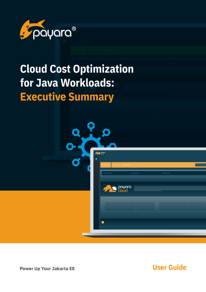 Cloud Cost Optimisation for Java Workloads Executive Summary