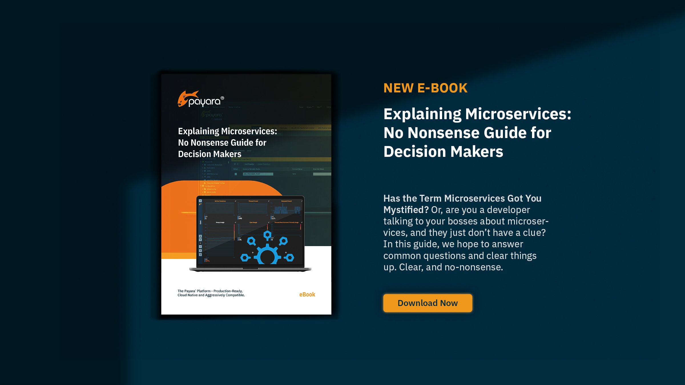 Explaining Microservices Template-3