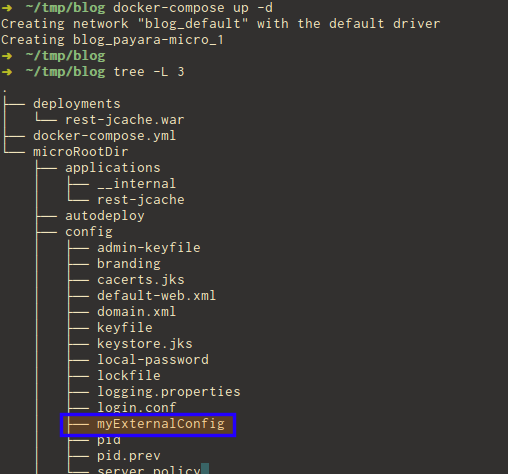 Ext config files micro - Image 3.png
