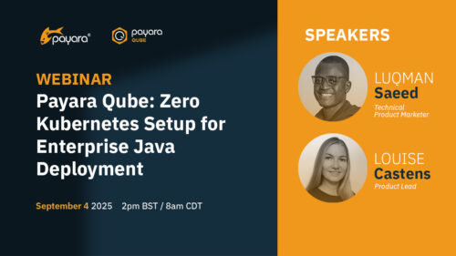 Payara Qube: Zero Kubernetes Setup for Enterprise Java Deployment
