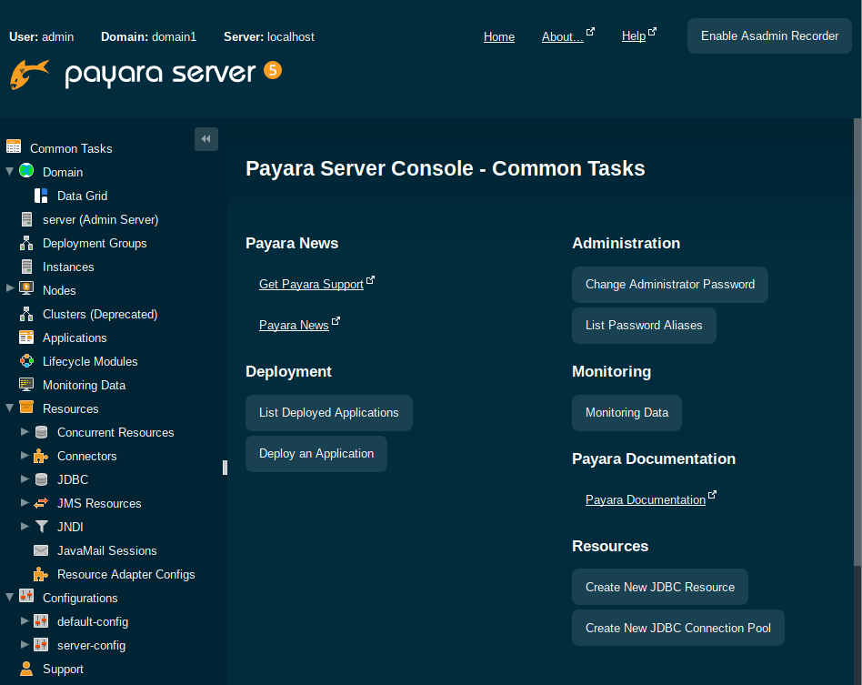 Payara 5 console.png