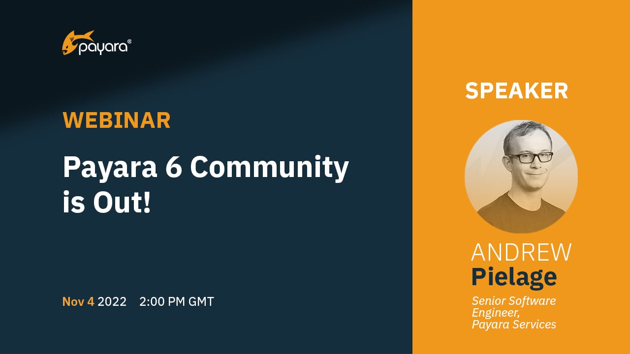 Payara 6 webinar image
