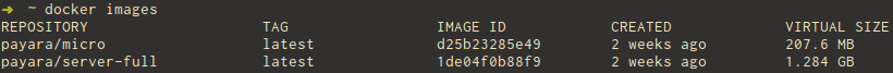 Payara_Docker_blog_1.png