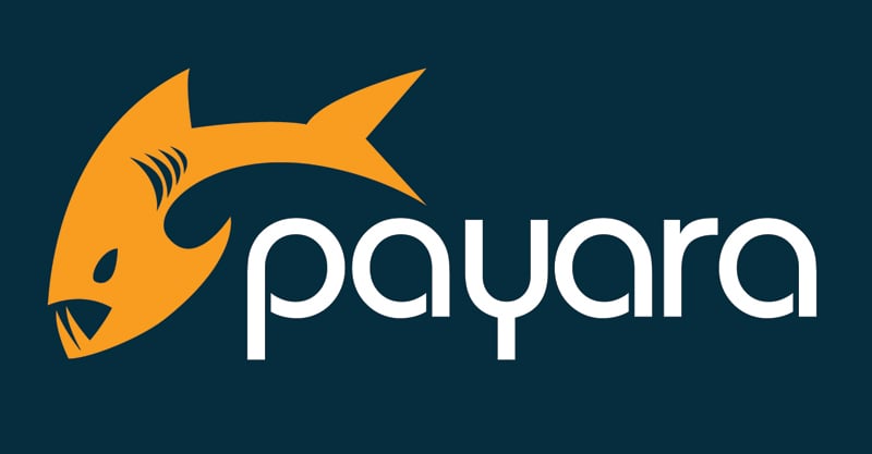 Payara Services Logo